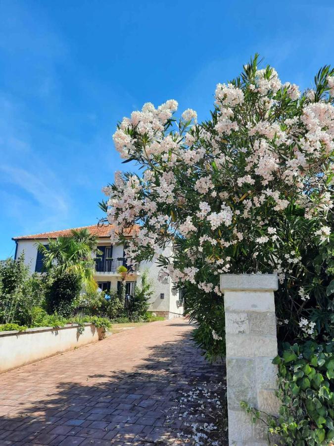 Apartments Palm House Rovinj Dış mekan fotoğraf
